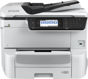 WORKFORCE PRO WF-C8690DWF SERIES, IPGrup