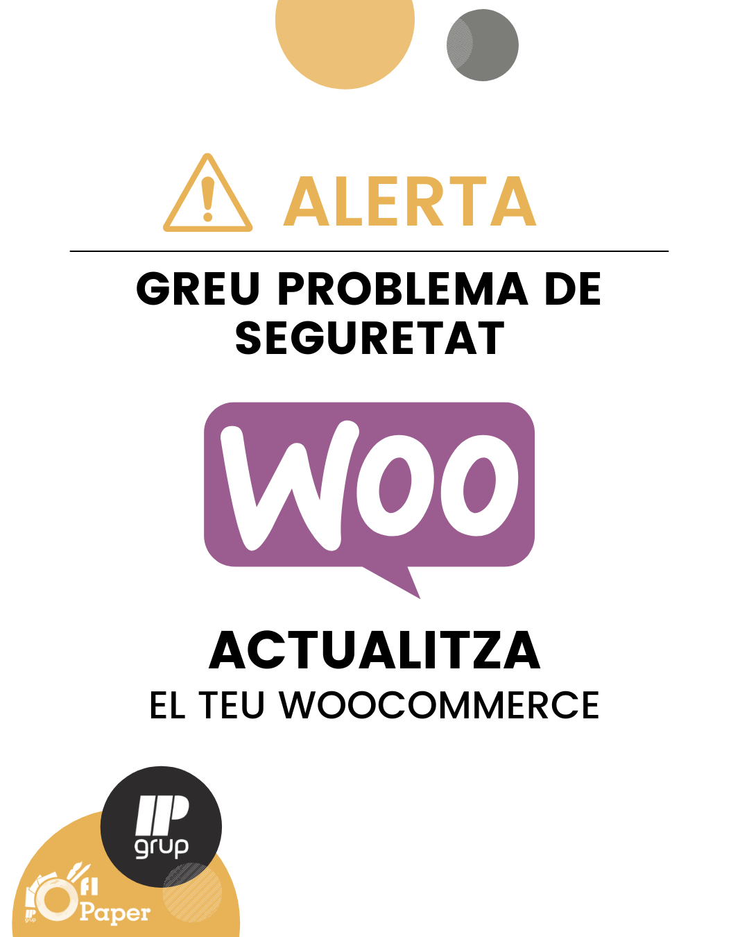 Problema de seguretat WooCommerce, IPGrup