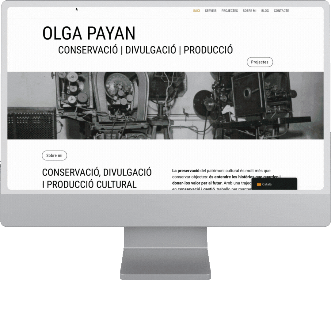 Web Diseño, maquetación y posicionamiento de proyectos web.