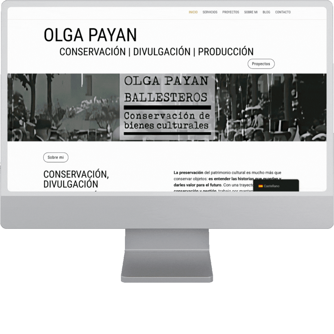 Web pagina web corporativa a medida, responsive